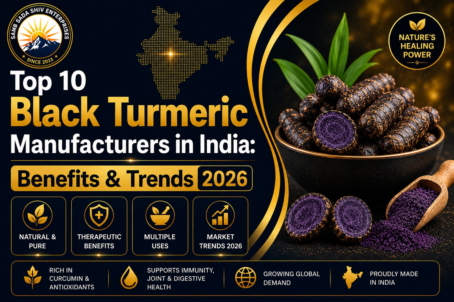  Top 10 Black Turmeric Manufacturers in India: Benefits & Trends 2026