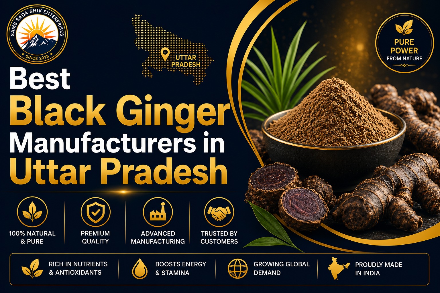 Best Black Ginger Manufacturers in Uttar Pradesh