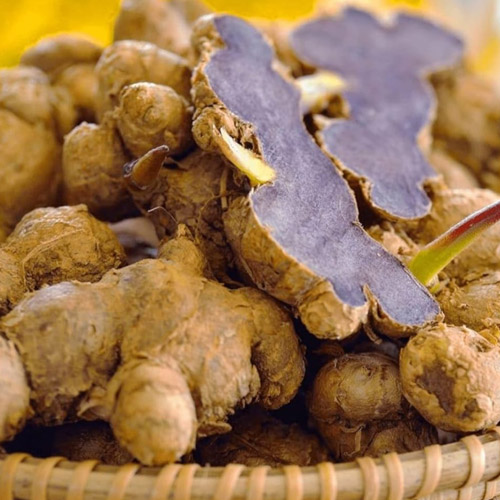 Black Ginger Manufacturer in Aligarh